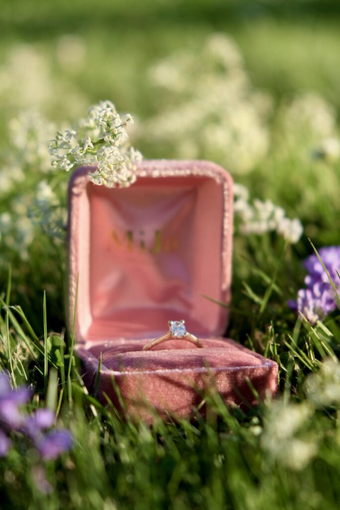 E8A0189C-1CBE-4884-9F3D-50EEE38E6052-3215-000002C6BD9BA02C